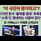 http://ldtv.kr/data/apms/video/youtube/thumb-2K4rq-mPuZY_80x80.jpg