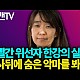 http://ldtv.kr/data/apms/video/youtube/thumb-DJJ8Q4WWu10_80x80.jpg