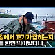 http://ldtv.kr/data/apms/video/youtube/thumb-ZkR5WJlRM_I_80x80.jpg
